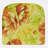 Indoor/Outdoor Dining Chair Seat Cushion-9866229
