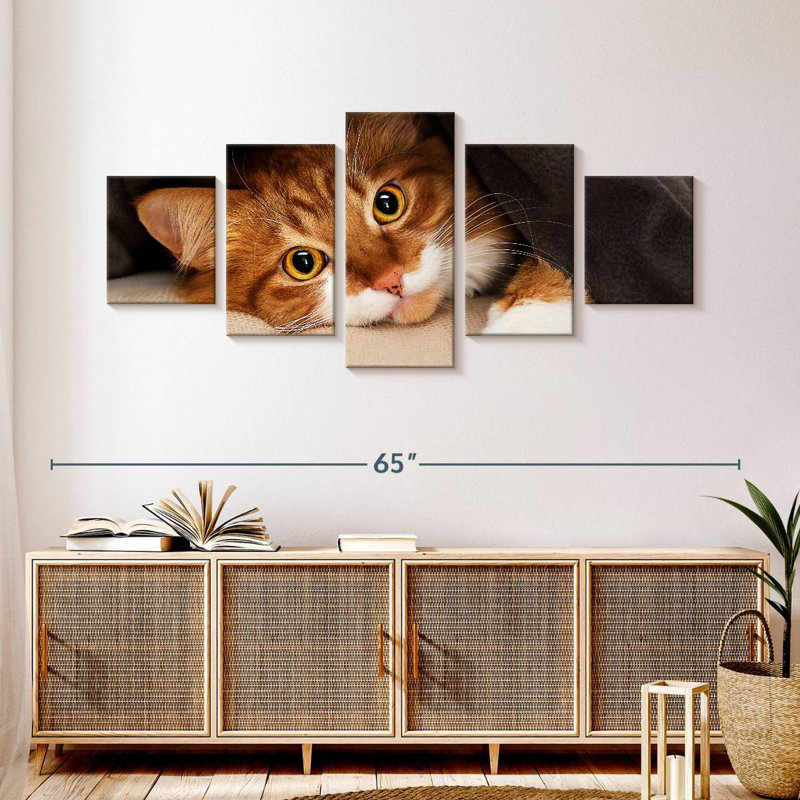 Chat douillet, H 24 po x l 55 po