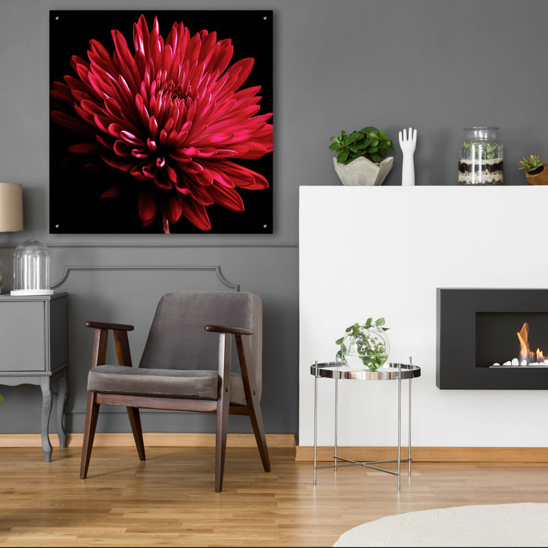 «Red Chrysanthemum On Black» par Tom Quartermaine, H 36 po x l 36 po x P 0,2 po