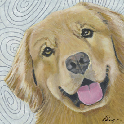 Dlynns Dogs - Cosmo