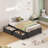  Platform Twin Size Bed Frame with 2 Large Storage Drawers,Heavy Duty Steel Slats, Dark Grey & Black
