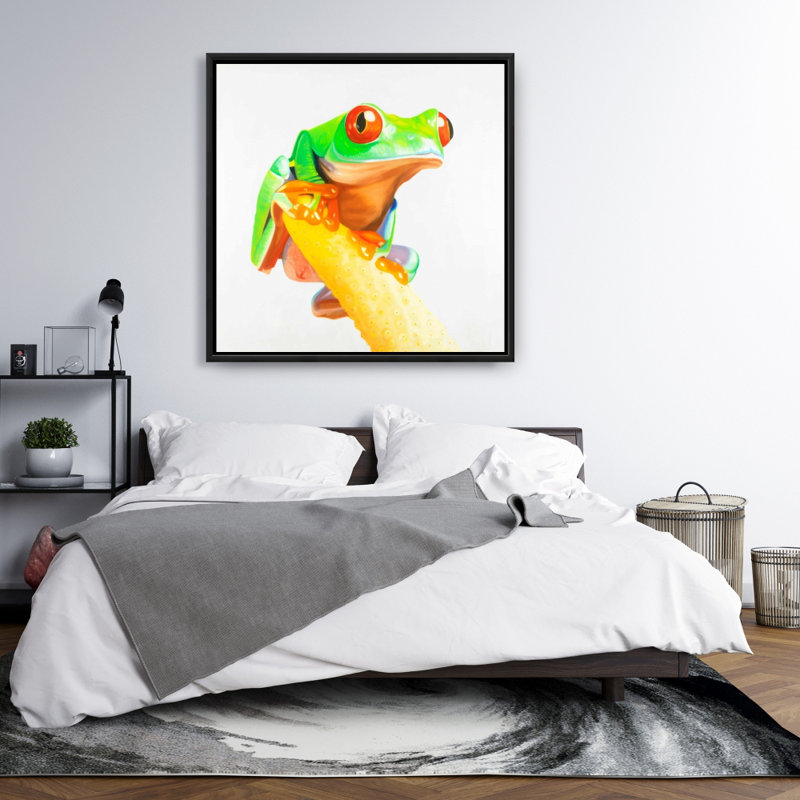 " Curious Red Eyed Frog "