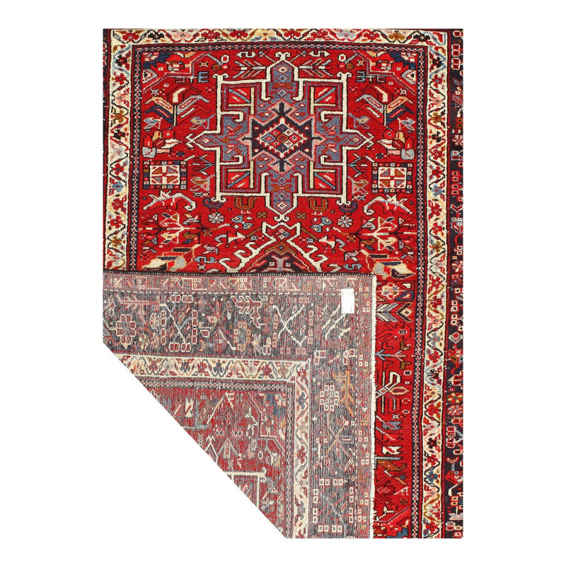 Jaevian Oriental Area Rug