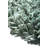 Zalewski Indoor Rug-580078272