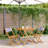 Cordero 2 - Person Wood Patio Dining Set with Square Table