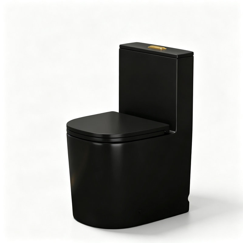 Toilette monobloc compacte moderne Yingze, entraxe de 30,5 cm, profondeur réduite de 50,8 cm pour les petites salles de bain, double chasse d'eau 1/1,28 gal/min, double chasse d'eau cyclonique, entièrement carénée, abattant à fermeture amortie inclus, noire