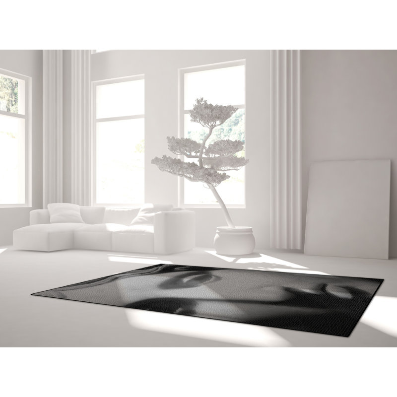Ellery 200cm X 300cm Area Rug