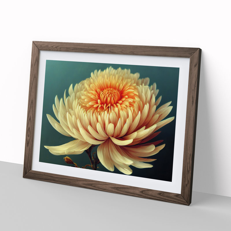Angelical Chrysanthemum Flower - Framed Print, Walnut