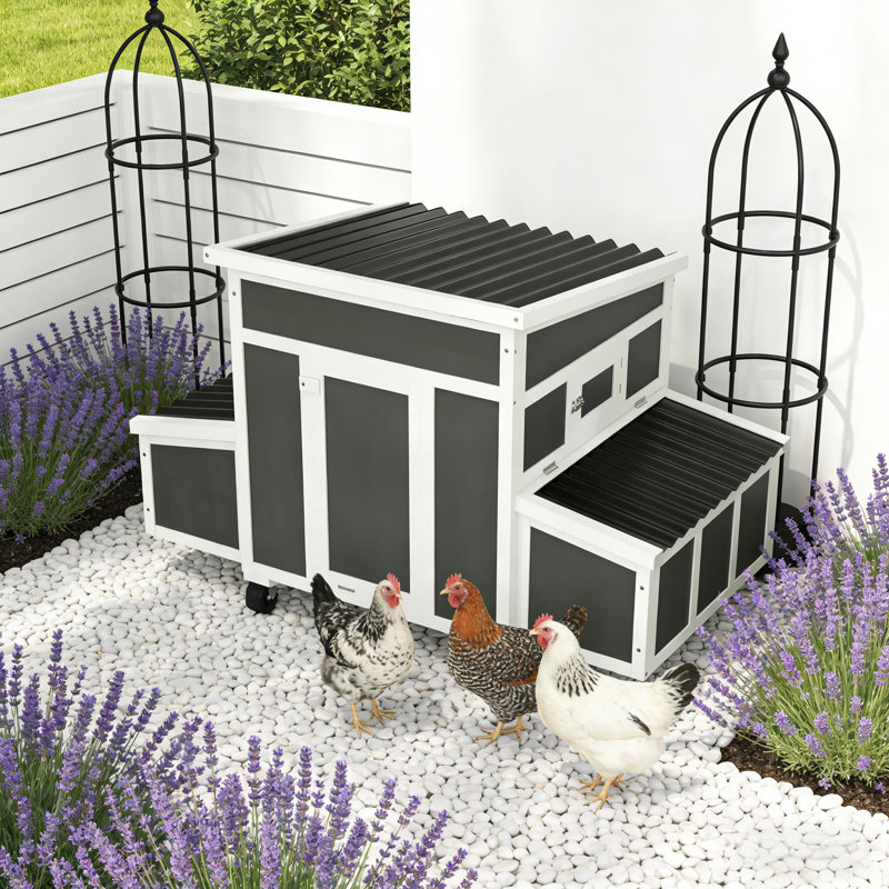 Maison pour animaux de compagnie, poulailler en bois