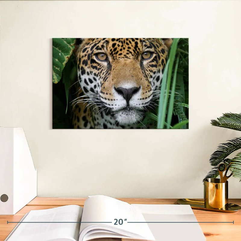 Jaguar de la jungle amazonienne Brampt, H 8 po x l 12 po