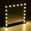 Lizbeth 16-Light Metal Rectangle Dressing Mirror