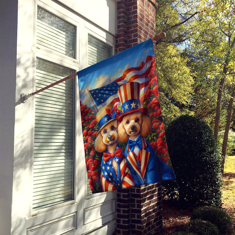 Drapeau «All American House», Caniche