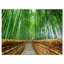 Path to Bamboo Forest - Reproduction de photo sur toile tendue-18436523-33284351