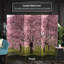 Cloison Cherry Blossom Festival-124328515