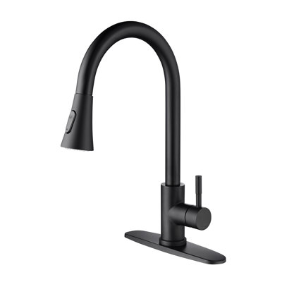 Pull Down Single Handle Kitchen Faucet