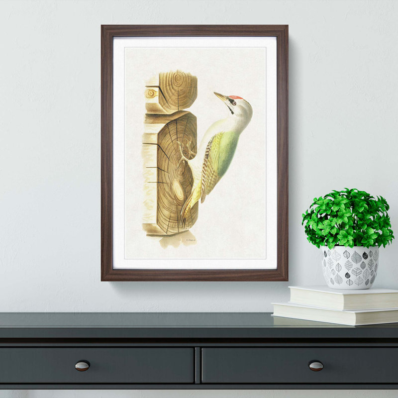 Woodpecker by Von Wright - Picture Frame Painting Print, 50cm H x 35cm W x 2cm D, Walnut