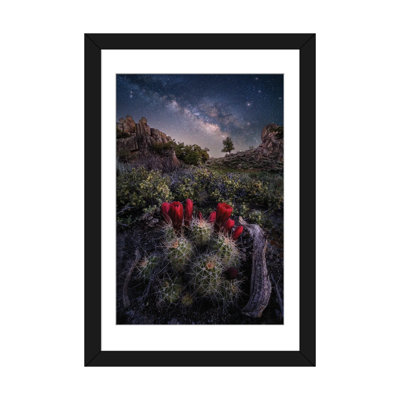 Colorado Nightscape - cactus Claret Cup avec voie galactique, ciel nocturne - reproduction d'art murale - papier d'art encadré