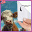 Rideaux de douche Cows In Flower Field-1590739694