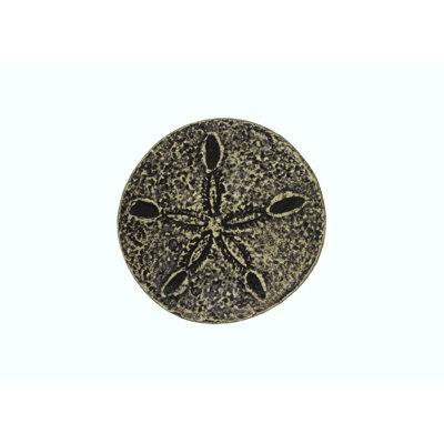 Oversized 2" Sand Dollar Novelty Knob