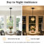 - Light Pendant-312822952
