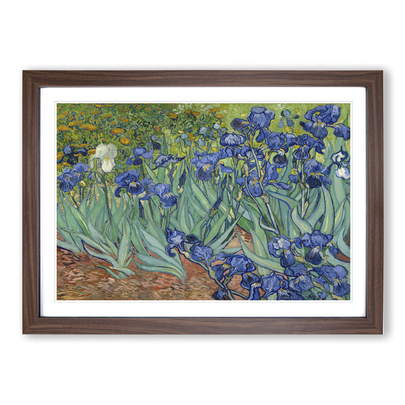 Irises by Vincent Van Gogh - Picture Frame Painting on MDF, 27cm H x 36cm W x 2cm D, Walnut