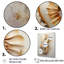Hippocampe magique beige sur toile-1156127959-1156127952