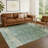Machine Washable Indoor/Outdoor Chantille ACN2323 Global Rug-653345095