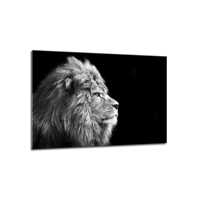 Animals Lion Glasspik - Single Picture Frame Print