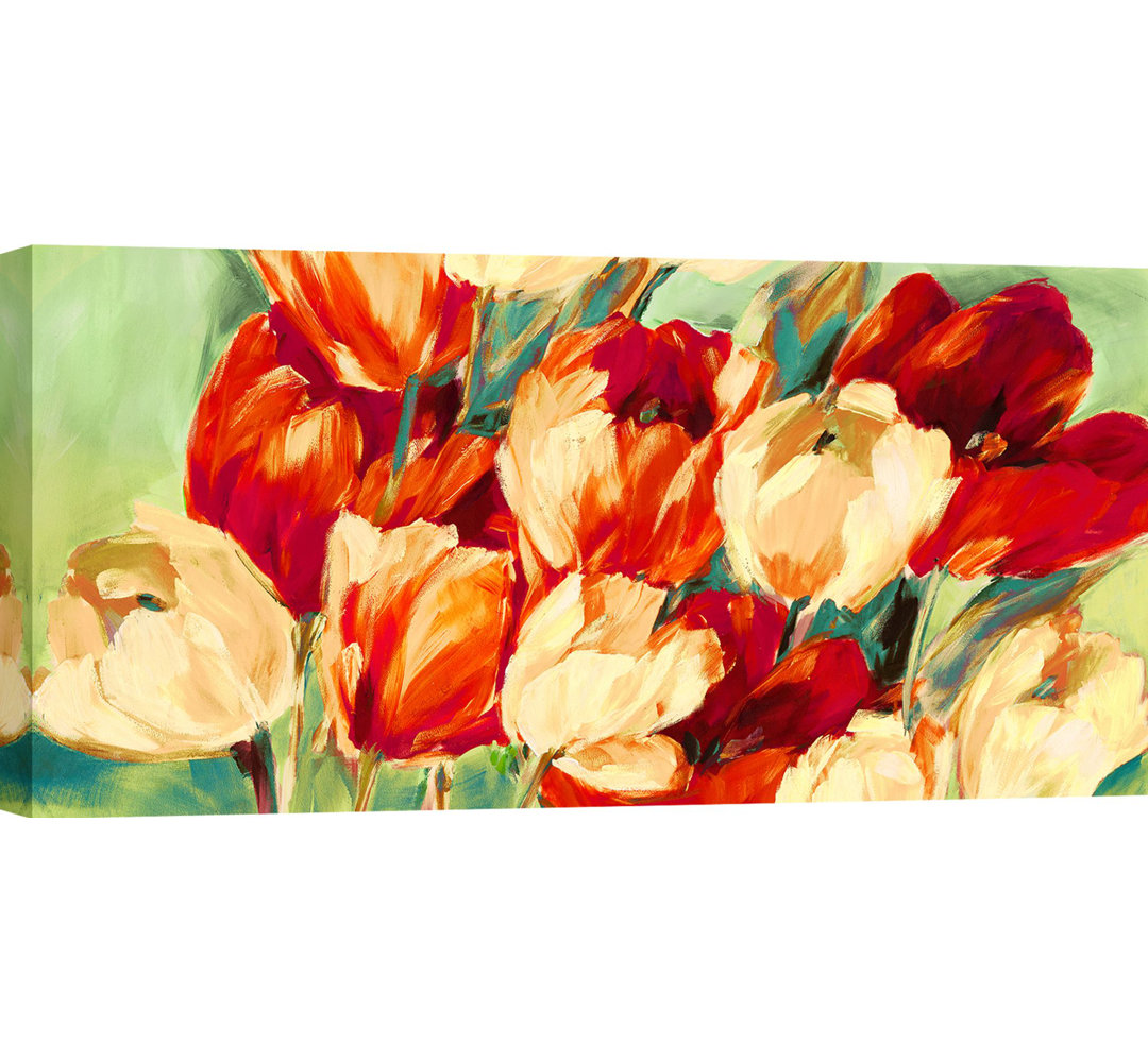 Leinwandbild White And Red Tulips von Jim Stone