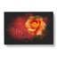 Orange Rose In Bloom - Wrapped Canvas-56643053