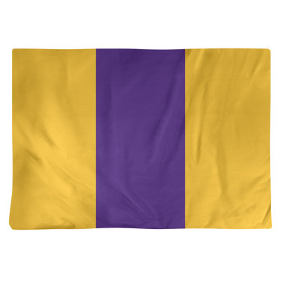 Récapitulatif 18" à rayures de football Minnesota
