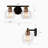 Jorinde 2 - Light Dimmable Vanity Light