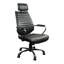Genuine Leather Executive Chair-1243870260
