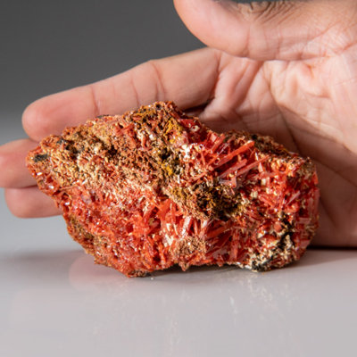 Crocoite de la mine de plomb rouge, Dundas, Tasmania, Australie