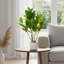 Ensemble de 2 plantes artificielles à branches de citron - Faux bonsaï en pot d'aspect marbre avec base en mousse de ciment pour la maison et le bureau