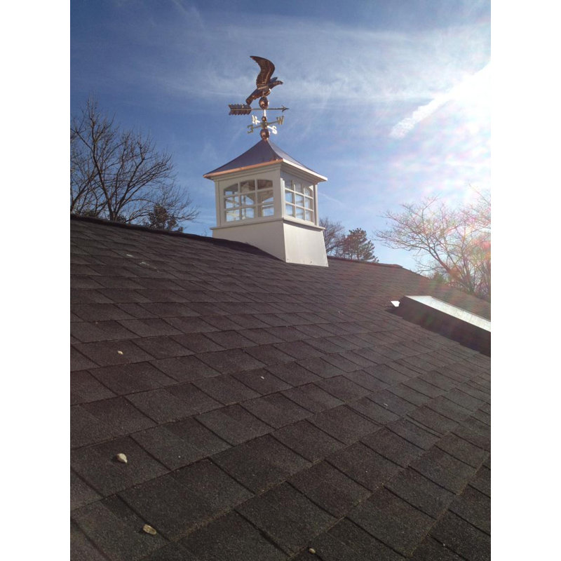 Krum 38'' H Metal Animals Weathervane, Polished