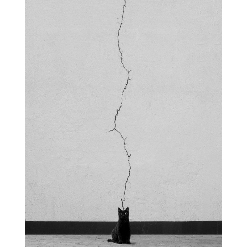 Wrapped Canvas Print, 60.96cm H x 91.44cm W