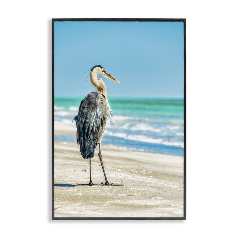Art giclée d'oiseaux de plage réfléchissants par Mary Lou Johnson, Giclée encadrée noir minuit, H 24 po x l 16 po