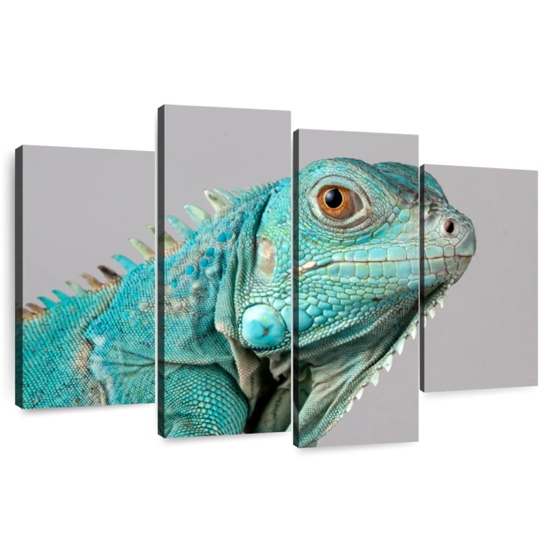 Iguane bleu ronce, H 42 po x l 68 po