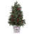 3' Potted Berry And Mix Greens Tree