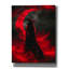 «Crimson Moon Enchantress», art mural sur toile-1331306895