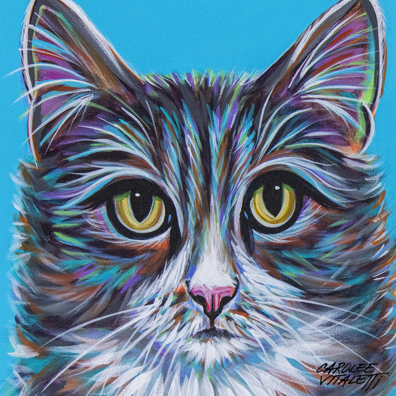 Pastel Cats I - Wrapped Canvas Painting, 91cm H x 91cm W x 3.8cm D