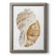 Coquillage I - reproduction d'art sur toile-799207407