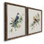 «Spring Song Gray Jay», ensemble de 2 peintures sur toile encadrées-274910381-274910380