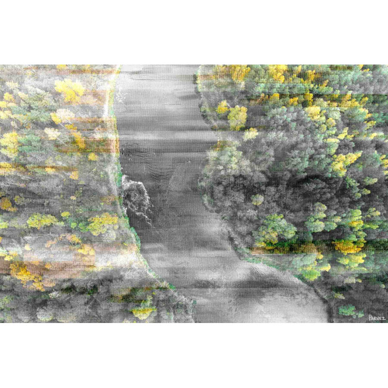 Parvez Taj - Wrapped Canvas Print, 101cm H x 152cm W x 3.8cm D