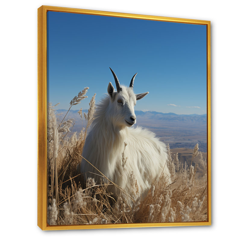 Art mural blanc chèvre solitaire blanc, Cadre flottant doré, H 32 po x l 24 po