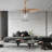 Frann 48'' Ceiling Fan with LED Lights
