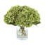 Hydrangeas in Glass Bubble Vase-612836881-651096171