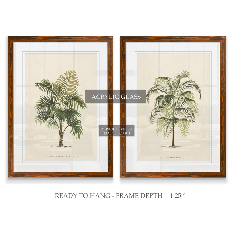 " Les Palmiers III " by Vincent Van Gogh 2 - Pieces, Maple Framed Paper, 24" H x 18" W x 1.25" D, White