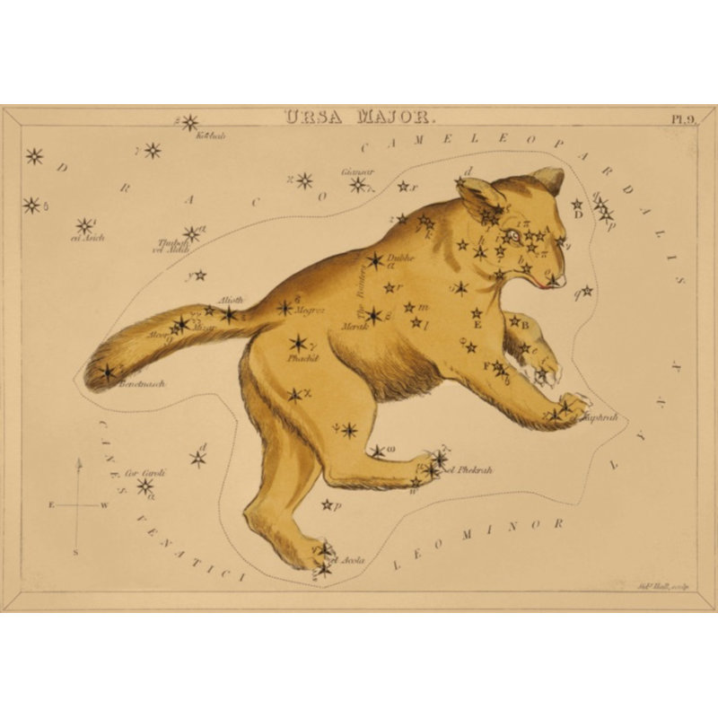 Ursa Major Print by Grand Archives, Gold Framed, 32" H x 45" W